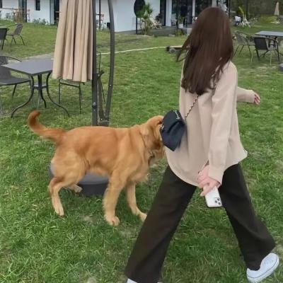 死亡终点站
